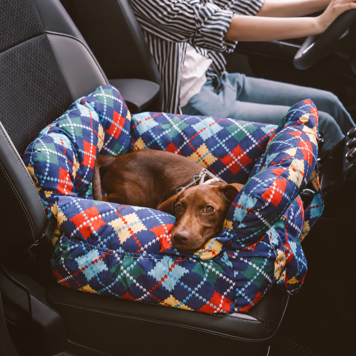 FidoSit Portable Dog Car Seat & Travel Bed – photo 34