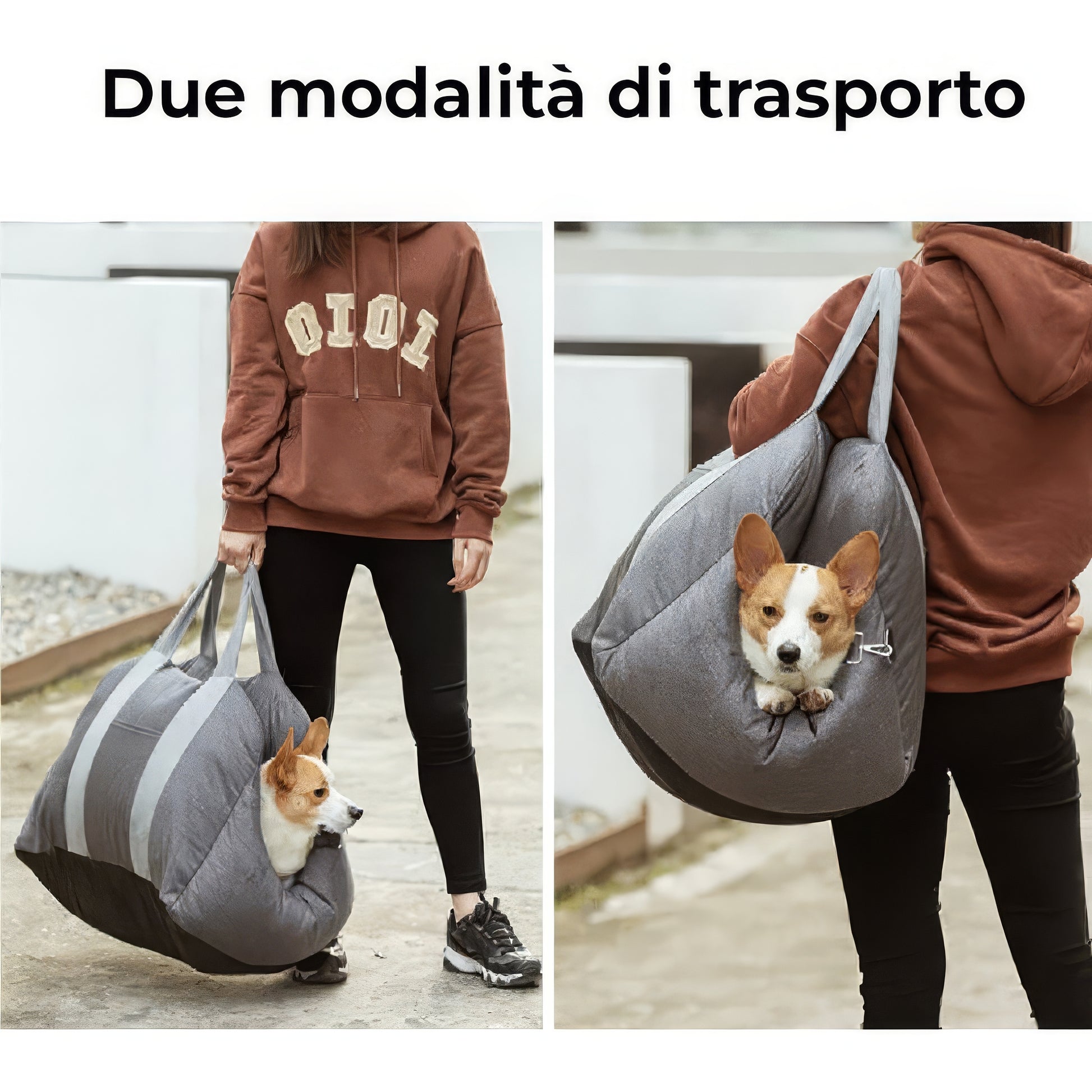 Seggiolino Auto per Cani 0-12 Kg Prima Classe - FidoSit