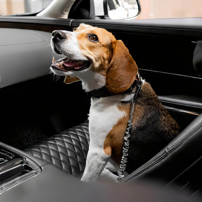 Cintura di sicurezza elastica per cani Anti-Colpo di Frusta
