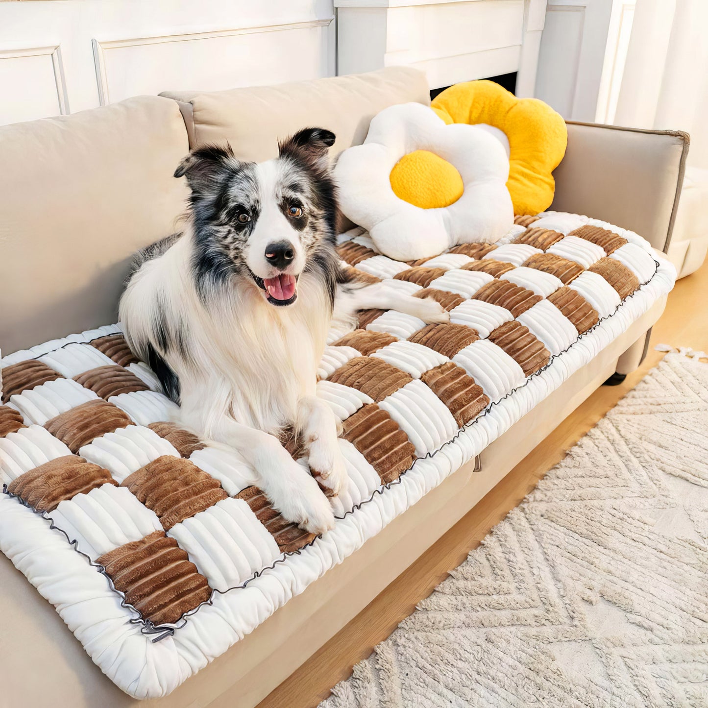 Copridivano Tappeto per Animali Domestici - FidoSit