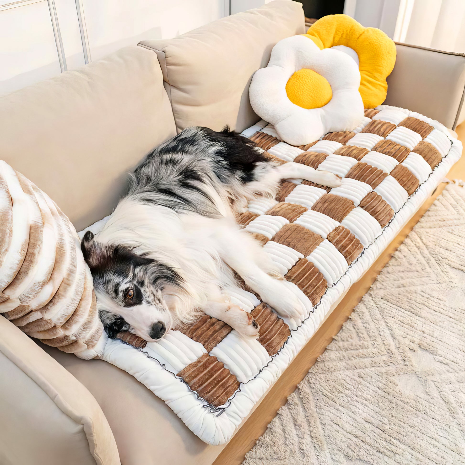 Copridivano Tappeto per Animali Domestici - FidoSit