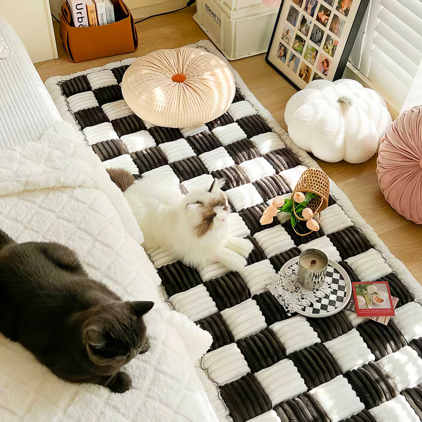Copridivano Tappeto per Animali Domestici - FidoSit