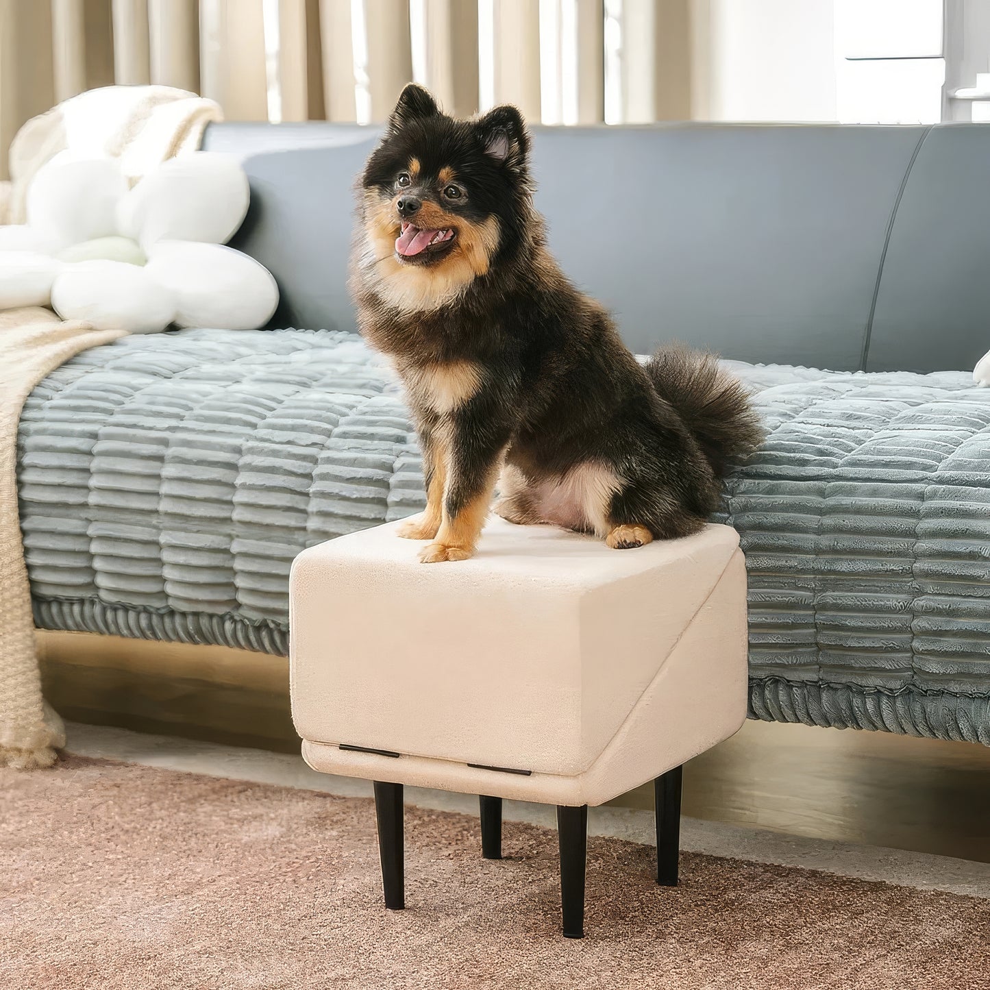 Rampa Sgabello per Cani Convertibile 2-in-1 - FidoSit