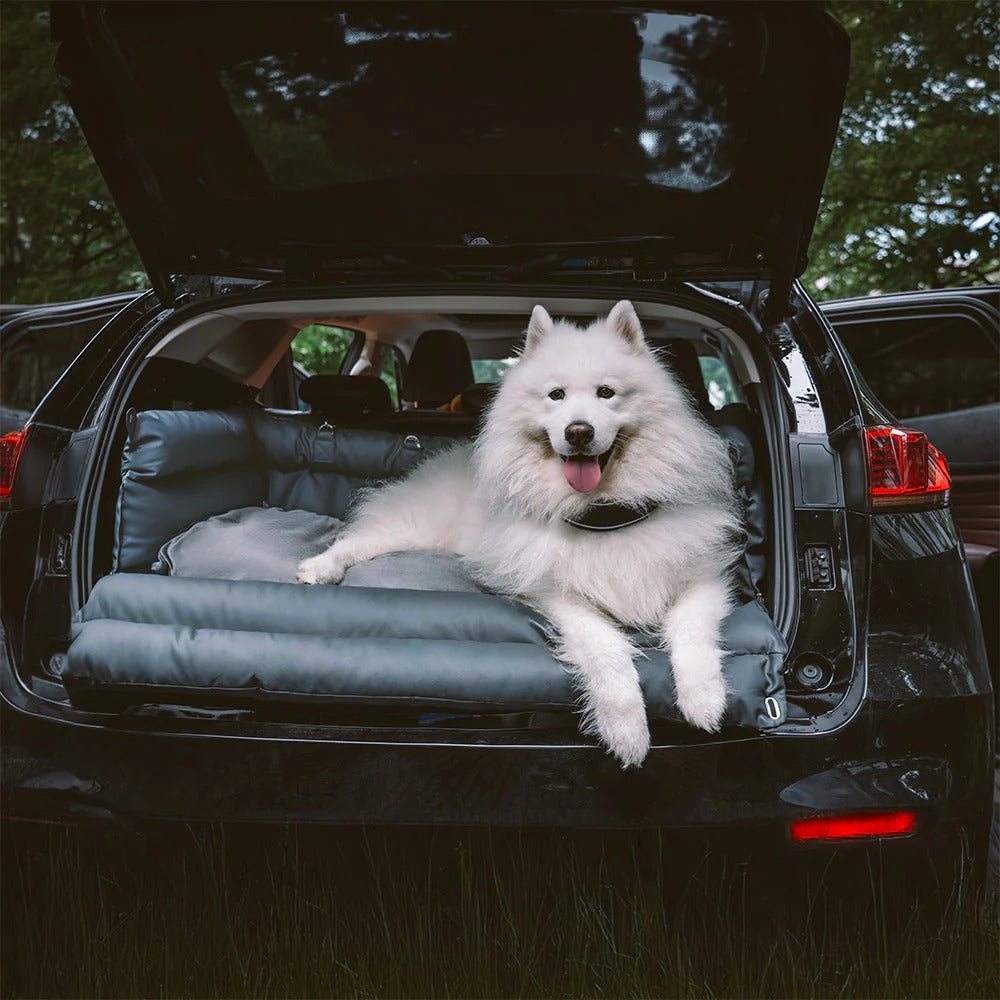Seggiolino in Pelle per Cani con Attacco Cinture - FidoSit