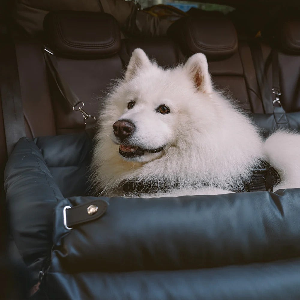 Seggiolino in Pelle per Cani con Attacco Cinture - FidoSit